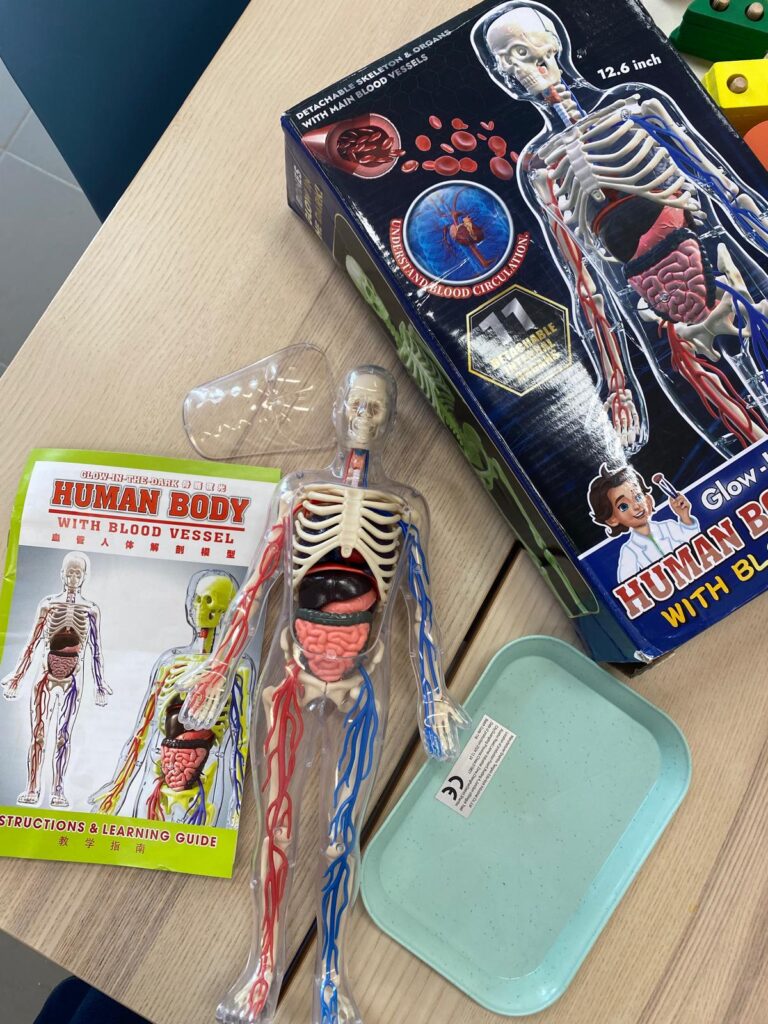 O Corpo Humano