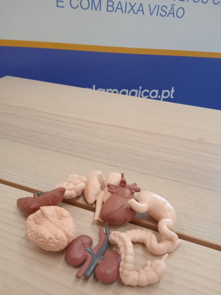 Órgãos do Corpo