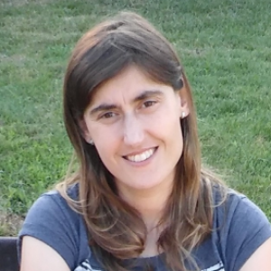 assembleia_elisabete.png